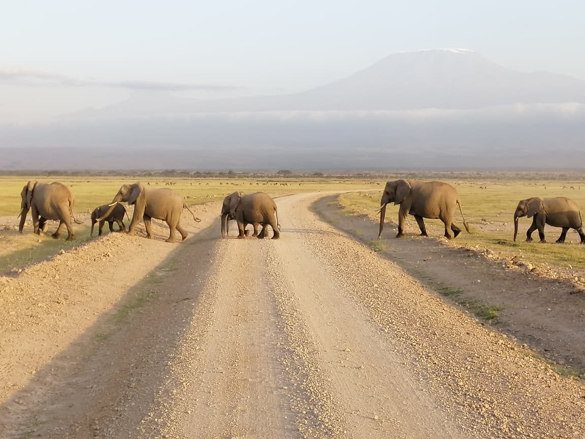 Onboard Safaris guide with guests on a game drive